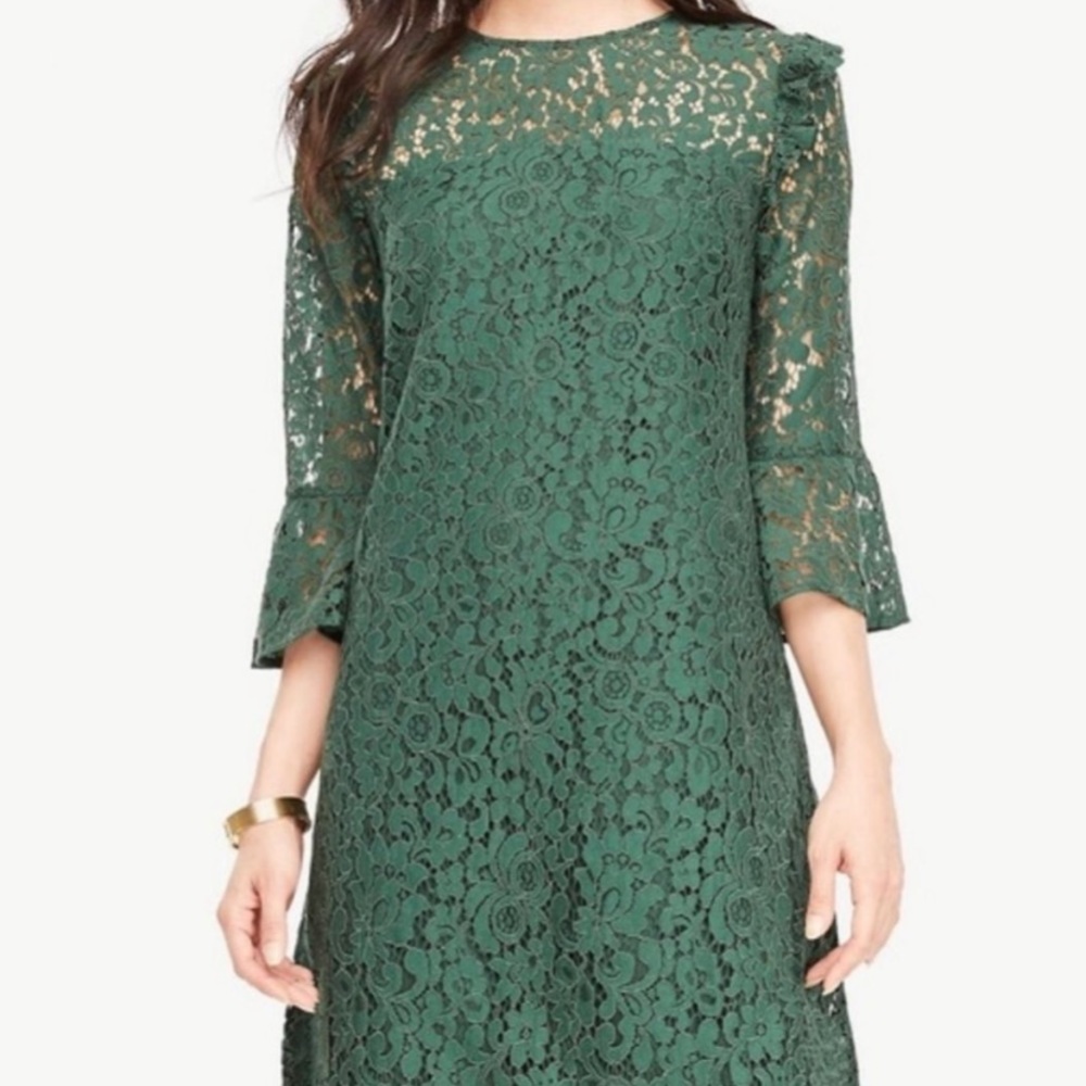 NWT Ann Taylor Lace Dress-Size 2
